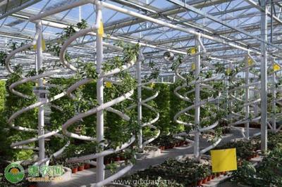 農(nóng)業(yè)科技公司注冊(cè)經(jīng)營(yíng)范圍及國(guó)營(yíng)貿(mào)易管理貨物進(jìn)出口解析